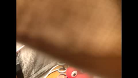 dag1983 online show from January 19, 8:41 pm