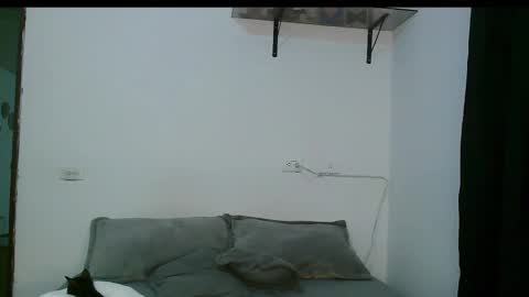 Dan and Noah online show from March 5, 12:27 am