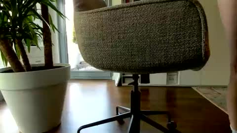 daniel_cute_xl online show from April 25, 8:28 am