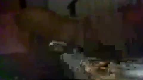 dankz4two0 online show from December 8, 8:09 am