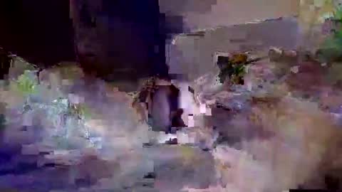 danny149664 online show from April 12, 3:42 am