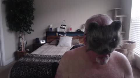 Danny bear online show from December 22, 3:00 pm