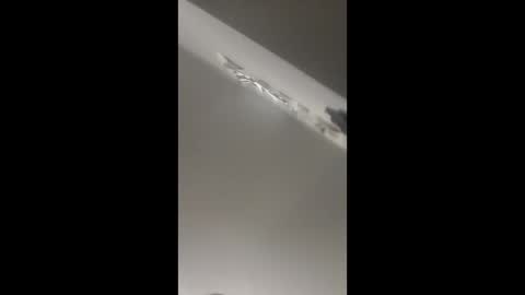 daprobl3m2 online show from February 6, 3:42 pm