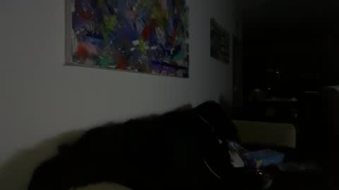 dartanha007 online show from February 14, 6:30 am