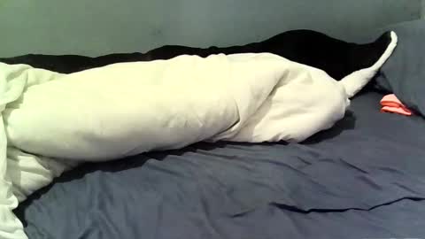 dave19704321 online show from January 9, 8:08 am