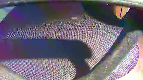 davey online show from January 7, 9:47 am