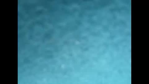 davidf75 online show from October 8, 8:29 am