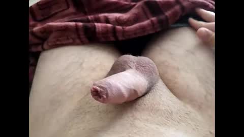 LilRoach online show from February 27, 2:17 pm