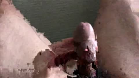 derek2580 online show from December 19, 5:37 am