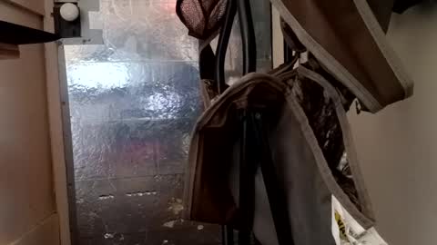 dgaf42087 online show from September 13, 7:48 pm