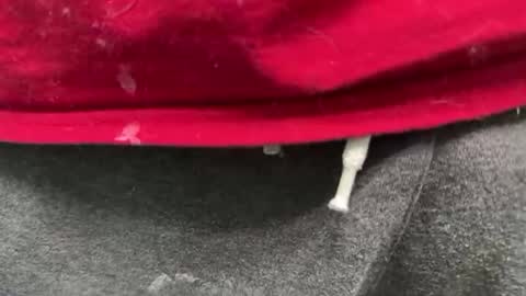 diag033014 online show from February 11, 12:15 am