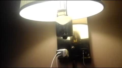 dick_2_little online show from March 12, 11:40 am