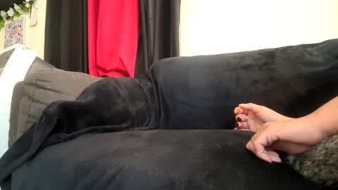 Snapshot of dickies6969 chatting on September 20, 5:46 pm dickies6969 online show from September 20, 5:46 pm