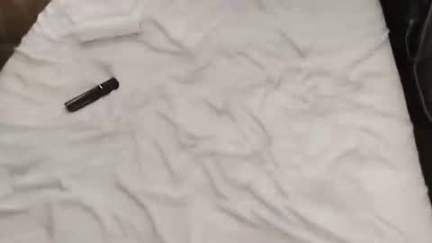 dimitarhaytov online show from March 14, 9:05 am