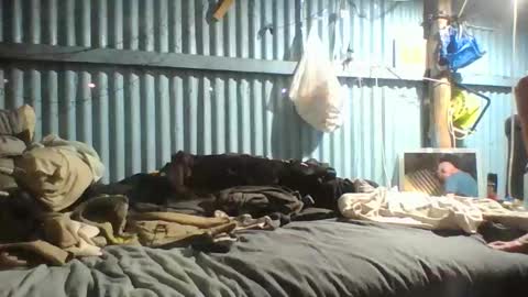 Snapshot of discreetpleasures4u chatting on October 6, 1:43 am discreetpleasures4u online show from October 6, 1:43 am