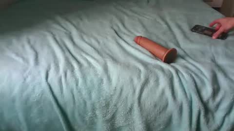 Alzest online show from November 30, 9:00 am