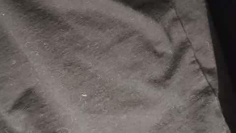 dondiego5511 online show from March 2, 5:08 am