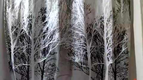 donschlongs online show from January 21, 8:00 pm