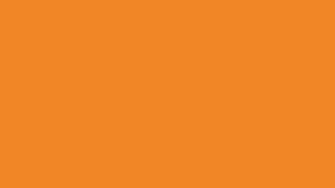 duka4343 online show from February 9, 12:54 pm