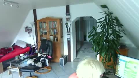 dwtfranky1911 online show from June 7, 1:51 pm