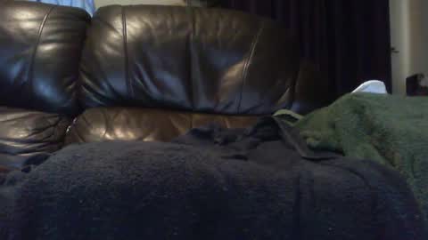 Snapshot of ectopicstarfish chatting on December 3, 9:42 am Ectopicstarfish online show from December 3, 9:42 am