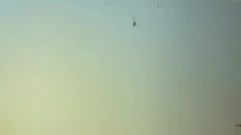 edgingandgooning online show from January 1, 11:16 am