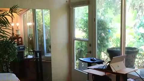eliberator online show from June 13, 3:32 pm