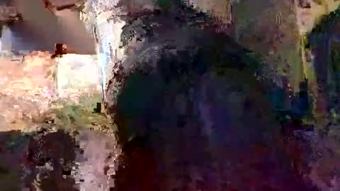 elizabit online show from April 5, 9:28 am