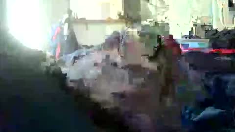 encormoi online show from November 7, 8:50 am