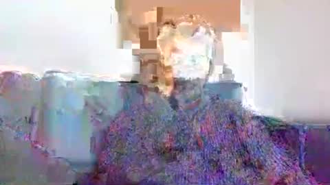 ernie is feeling horny online show from October 13, 12:00 pm