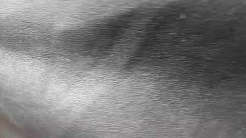 greetings  sergi  online show from November 30, 6:54 pm