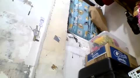 Jan online show from February 6, 9:00 am