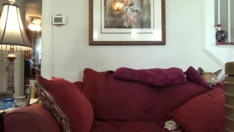 Snapshot of fairmount31 chatting on October 21, 1:58 pm fairmount31 online show from October 21, 1:58 pm