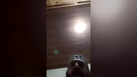 felipebh385495 online show from July 2, 5:02 am