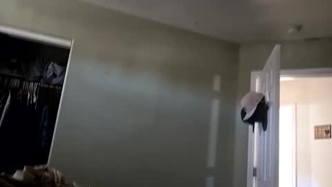 fightusfire32 online show from January 6, 6:31 pm