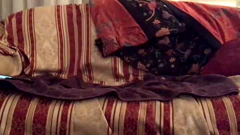 fiii87 online show from February 15, 10:22 pm