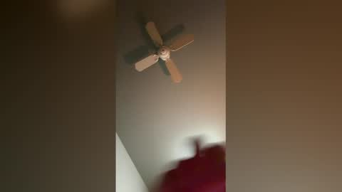 fit__will online show from February 26, 3:19 am