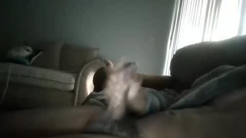 flandwtg online show from January 28, 7:32 pm