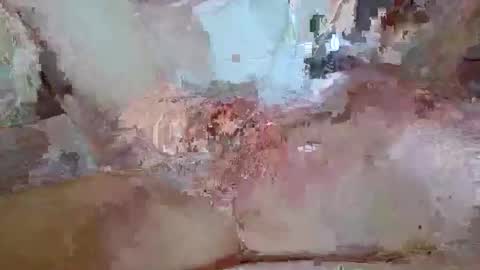 flyguy2121 online show from February 22, 10:11 pm