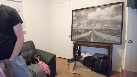 bulge vpl online show from September 27, 5:49 am