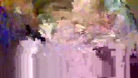 forest133 online show from December 12, 7:59 pm