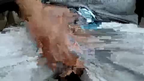 foster19422002 online show from March 3, 6:50 pm