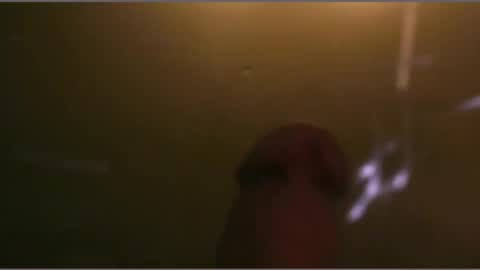 fountainblow online show from December 4, 7:28 am