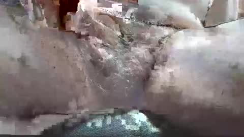 free_amos online show from April 27, 2:24 pm