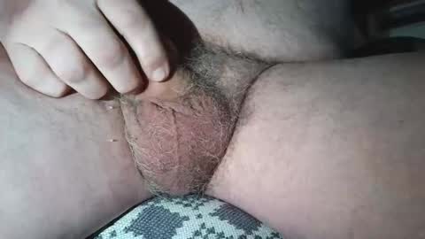 free_amos online show from April 10, 12:45 pm