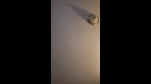 friskboi online show from March 5, 10:55 am