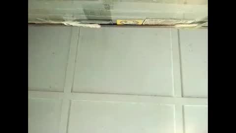 Warwick online show from November 11, 3:33 am