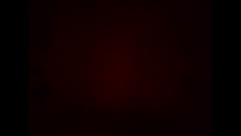 Warwick online show from February 8, 11:38 am