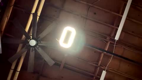 Allwant online show from February 21, 7:20 am