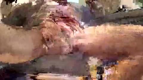 gazdadjoka online show from January 13, 7:21 am